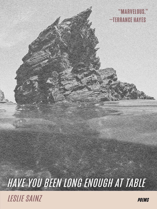 Title details for Have You Been Long Enough at Table by Leslie Sainz - Wait list